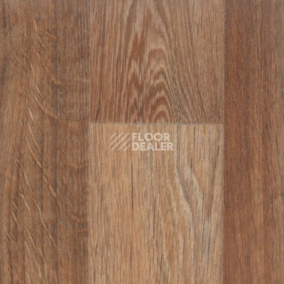 Линолеум IVC Greenline Camargue 754 фото 1 | FLOORDEALER